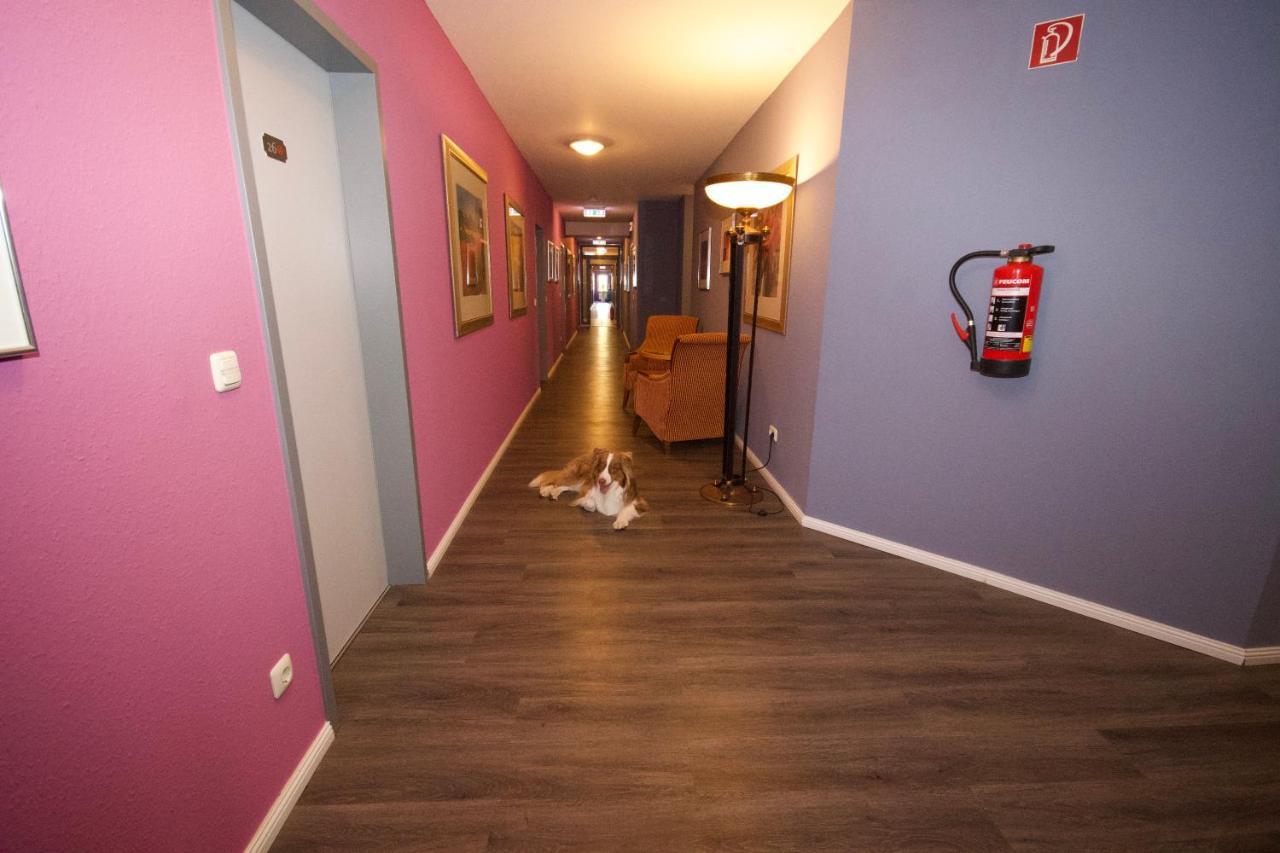 Gaestehaus Bavaria Ratyzbona Zewnętrze zdjęcie